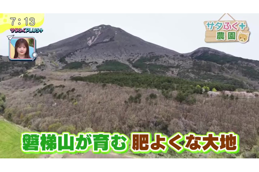 福島テレビ『サタふくプラス』にて、当社が管理している農場での「サタふく+農園」企画が放送されました。