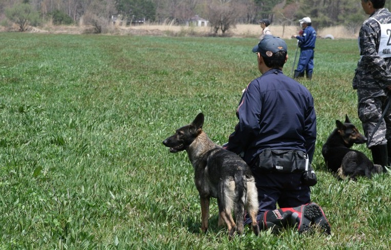 福島民友新聞に町営磐梯山牧場にて開催された「警察犬訓練競技会」に関する記事が掲載されました。