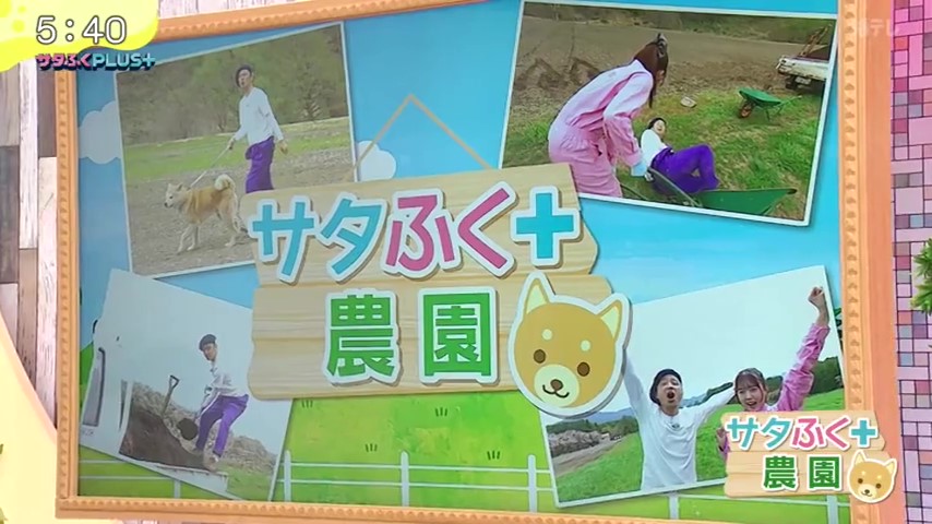 2026年5月15日放送分