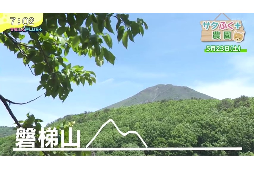2026年6月19日放送分