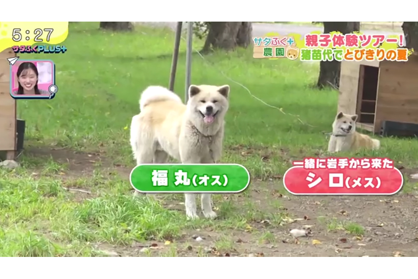 2026年8月21日放送分